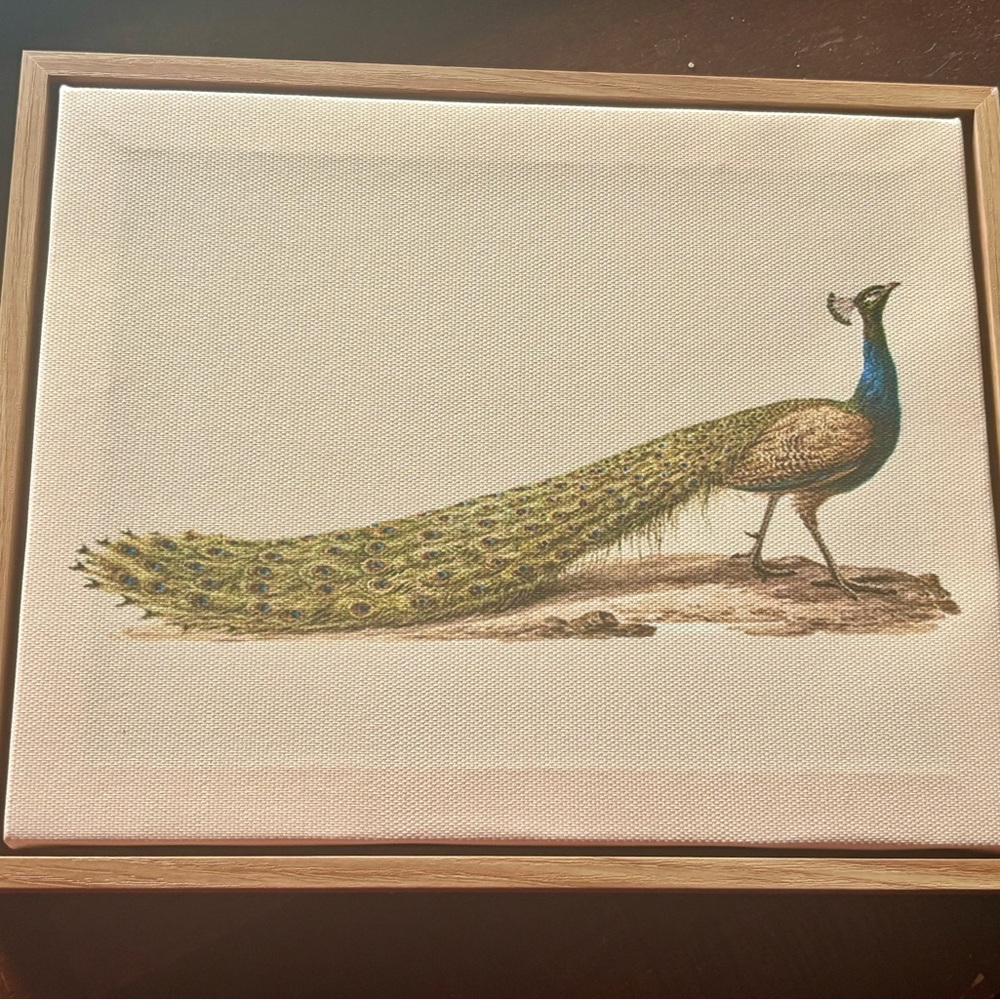 Peacock Canvas Wall Art